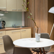 Studio apartment with garden view (6)